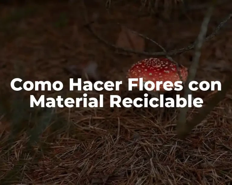 Como Hacer Flores con Material Reciclable