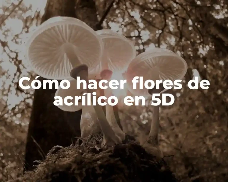 Cómo hacer flores de acrílico en 5D