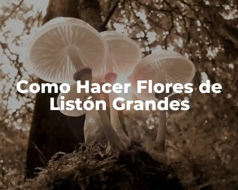 Como Hacer Flores de Listón Grandes