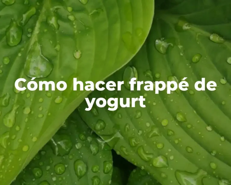Cómo hacer frappé de yogurt