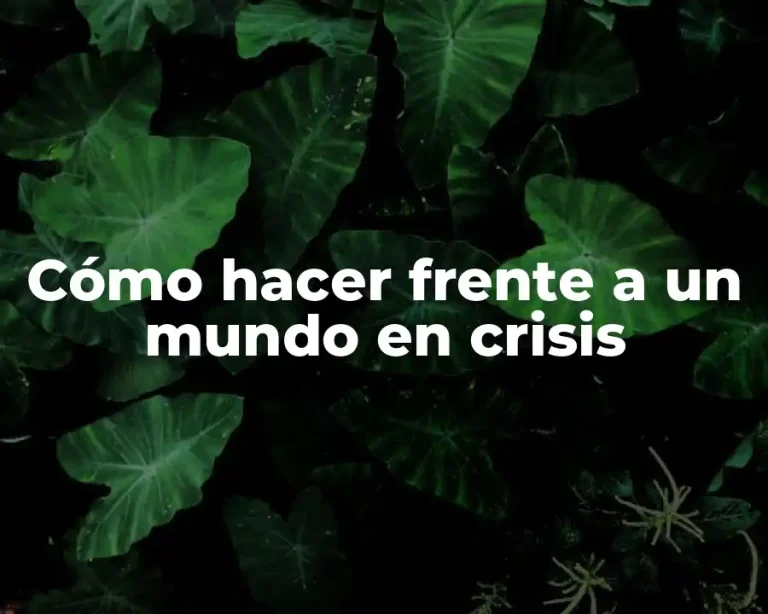 Cómo hacer frente a un mundo en crisis
