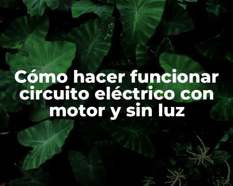 Cómo hacer funcionar circuito eléctrico con motor y sin luz