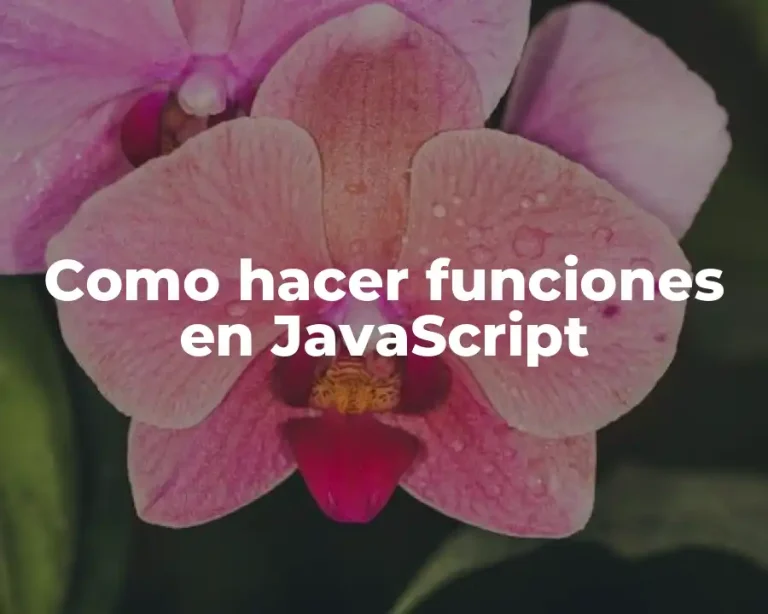Como hacer funciones en JavaScript