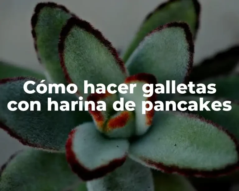 Cómo hacer galletas con harina de pancakes
