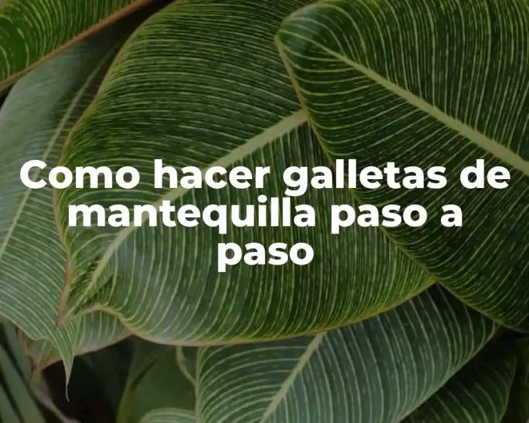 Como hacer galletas de mantequilla paso a paso