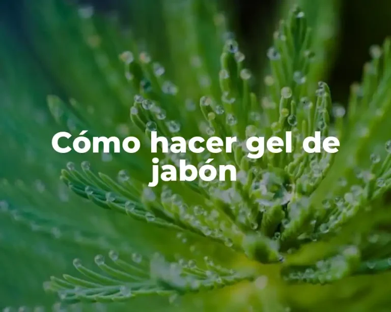 Cómo hacer gel de jabón