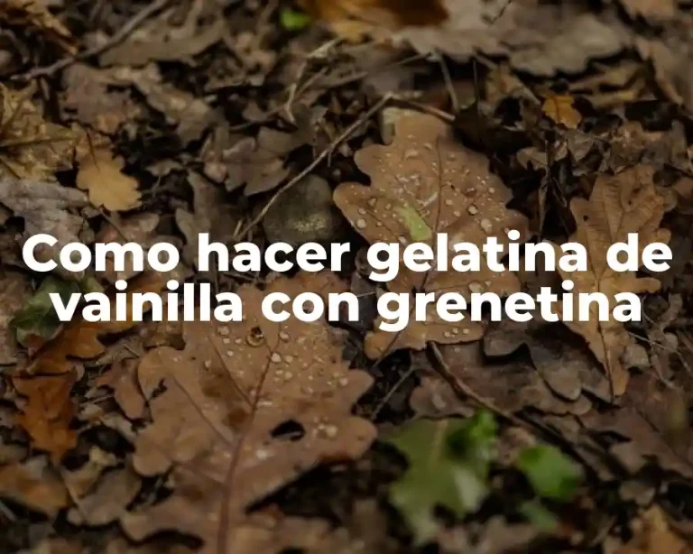 Como hacer gelatina de vainilla con grenetina
