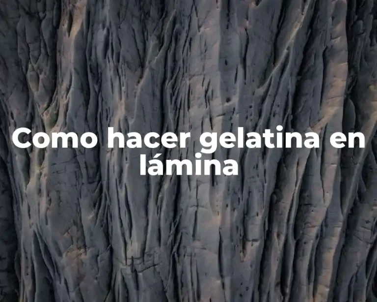 Como hacer gelatina en lámina