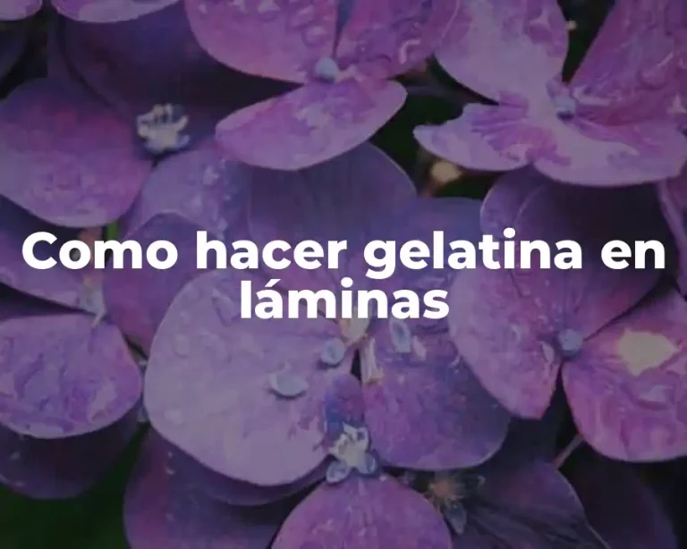 Como hacer gelatina en láminas