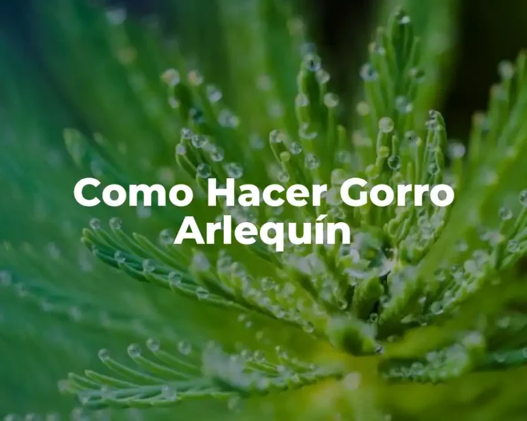 Como Hacer Gorro Arlequín