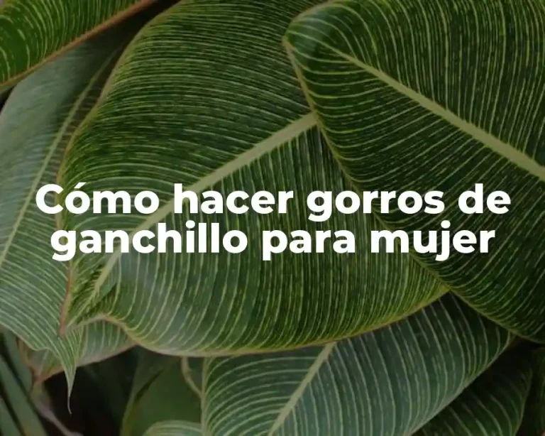 Cómo hacer gorros de ganchillo para mujer