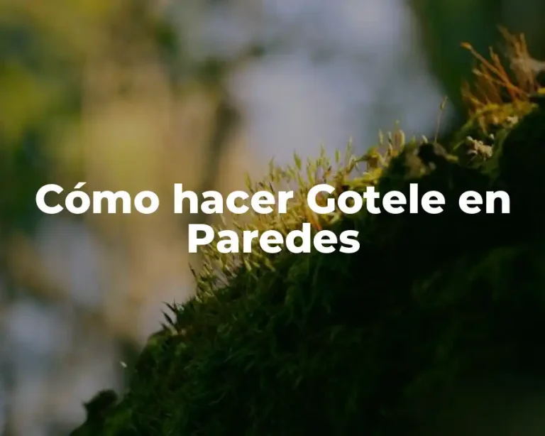 Cómo hacer Gotele en Paredes
