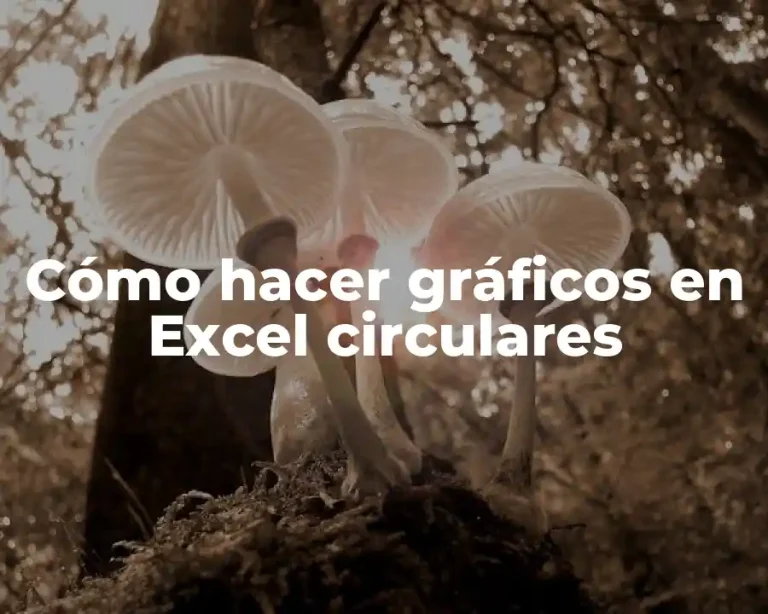 Cómo hacer gráficos en Excel circulares
