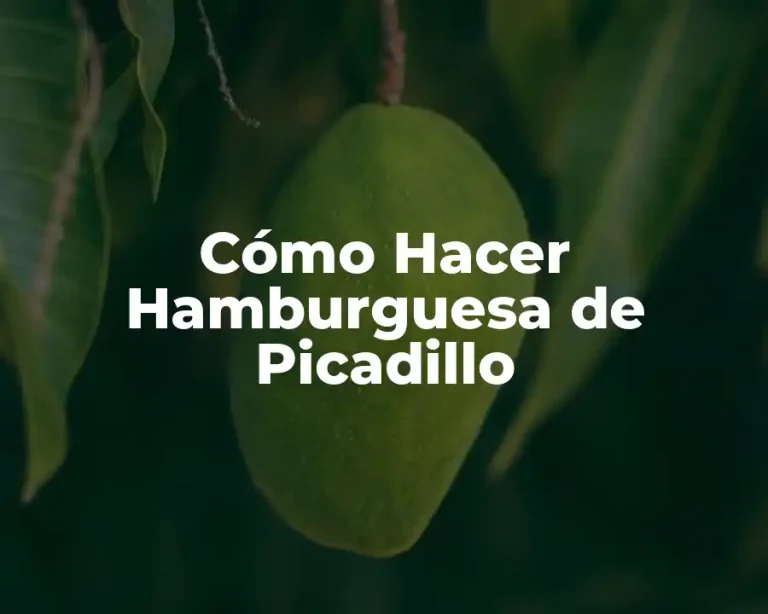 Cómo Hacer Hamburguesa de Picadillo