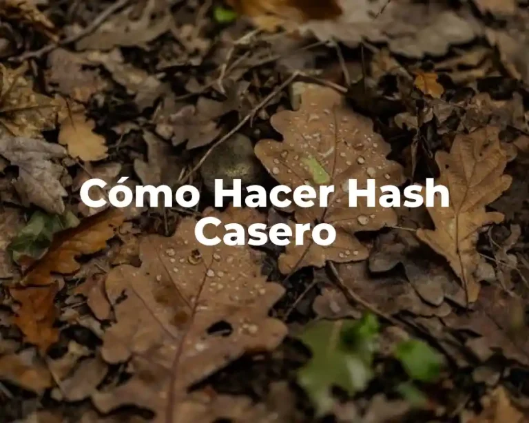 Cómo Hacer Hash Casero