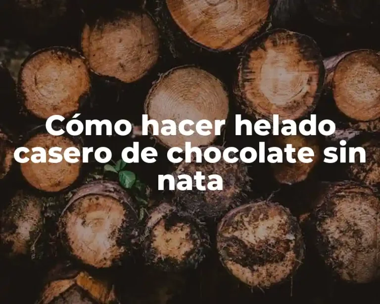 Cómo hacer helado casero de chocolate sin nata