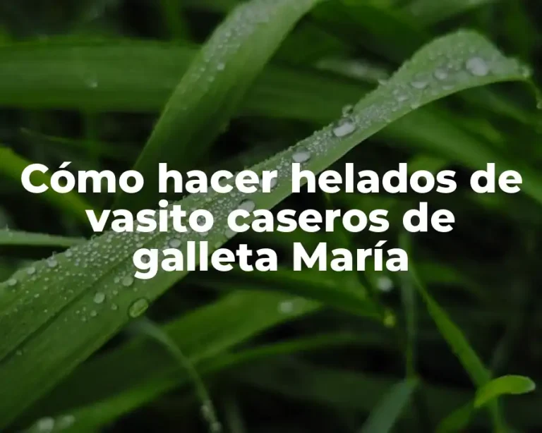 Cómo hacer helados de vasito caseros de galleta María