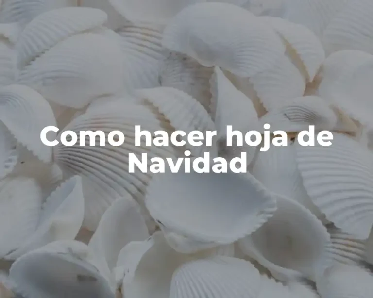 Como hacer hoja de Navidad