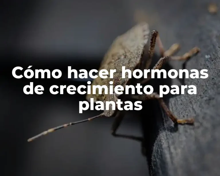 Cómo hacer hormonas de crecimiento para plantas