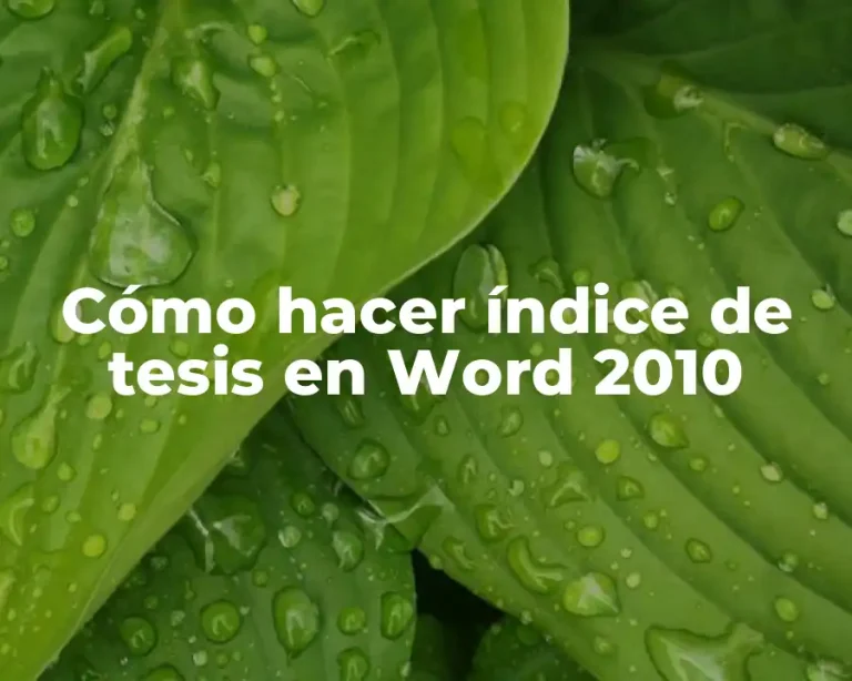 Cómo hacer índice de tesis en Word 2010