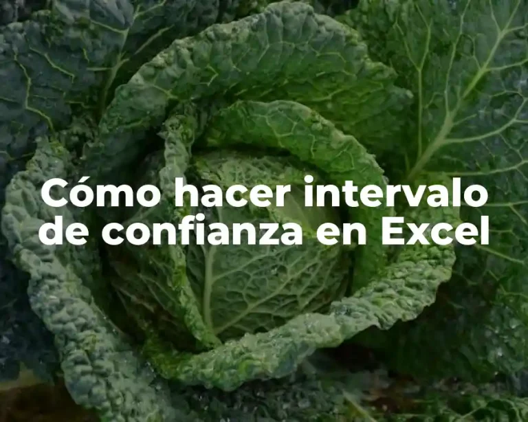 Cómo hacer intervalo de confianza en Excel