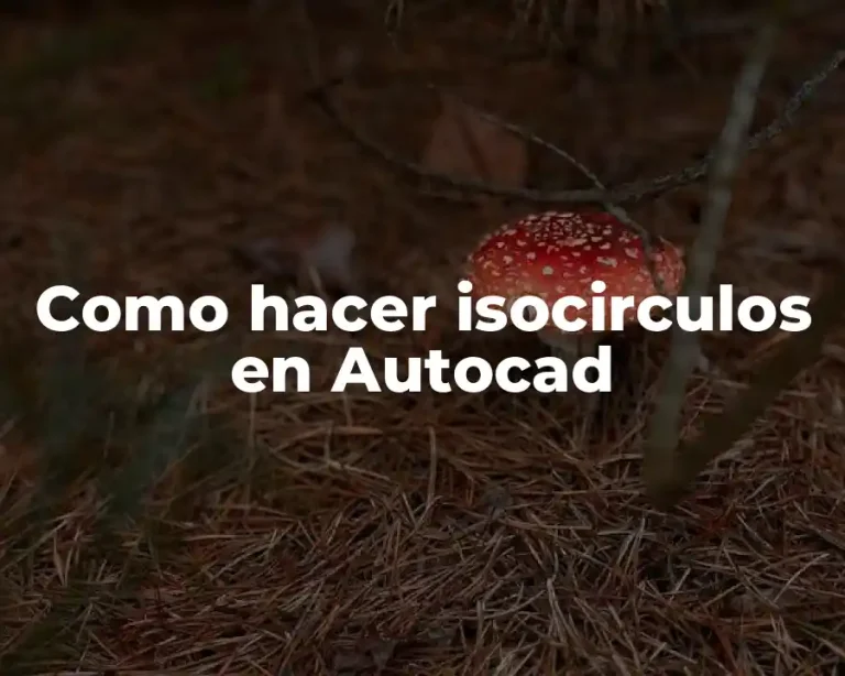 Como hacer isocirculos en Autocad
