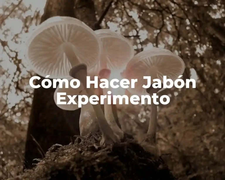 Cómo Hacer Jabón Experimento
