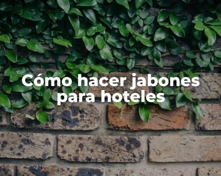 Cómo hacer jabones para hoteles