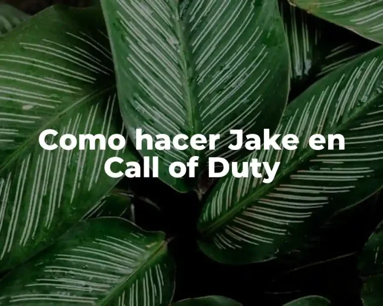 Como hacer Jake en Call of Duty