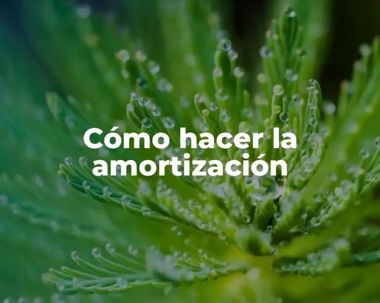 Cómo hacer la amortización