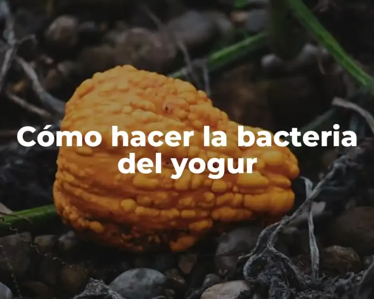 Cómo hacer la bacteria del yogur