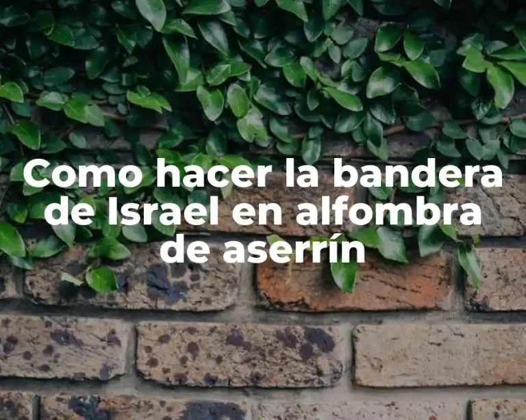 Como hacer la bandera de Israel en alfombra de aserrín