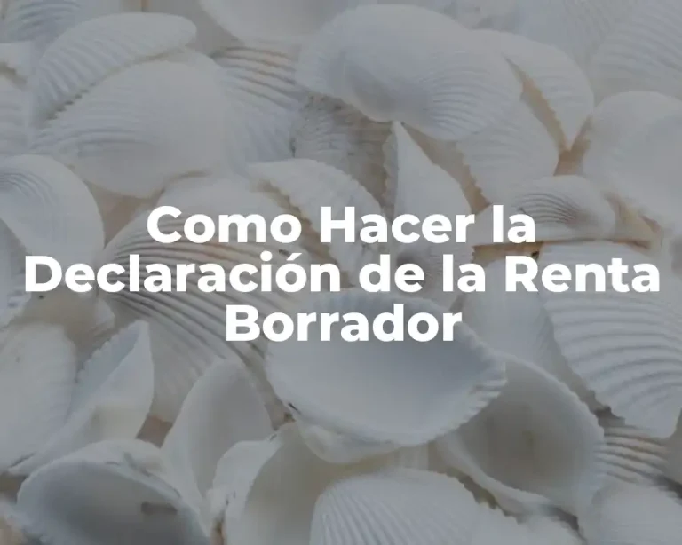 Como Hacer la Declaración de la Renta Borrador