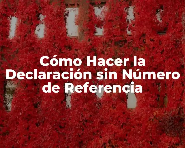 Cómo Hacer la Declaración sin Número de Referencia