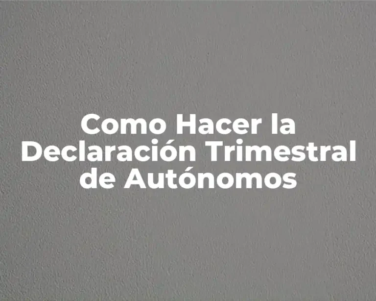 Como Hacer la Declaración Trimestral de Autónomos