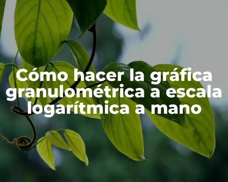 Cómo hacer la gráfica granulométrica a escala logarítmica a mano