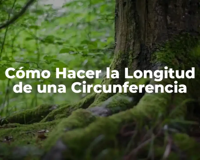 Cómo Hacer la Longitud de una Circunferencia