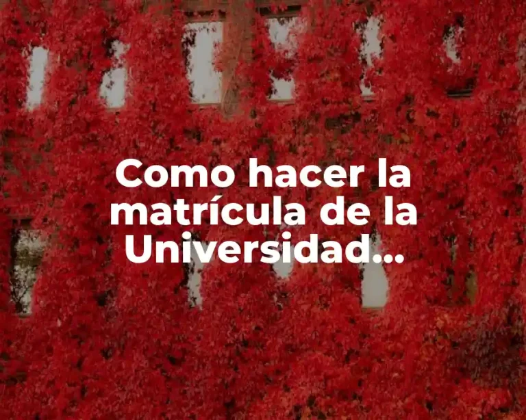 Como hacer la matrícula de la Universidad Complutense
