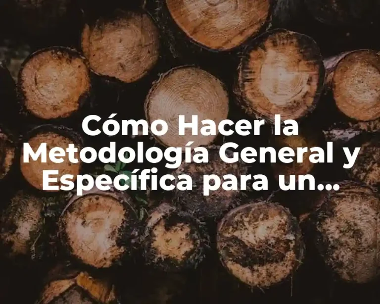 Cómo Hacer la Metodología General y Específica para un Proyecto