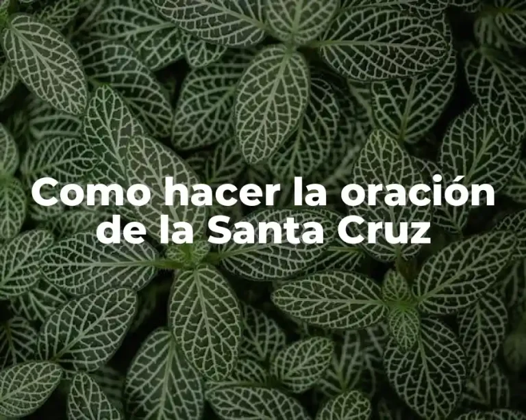 Como hacer la oración de la Santa Cruz