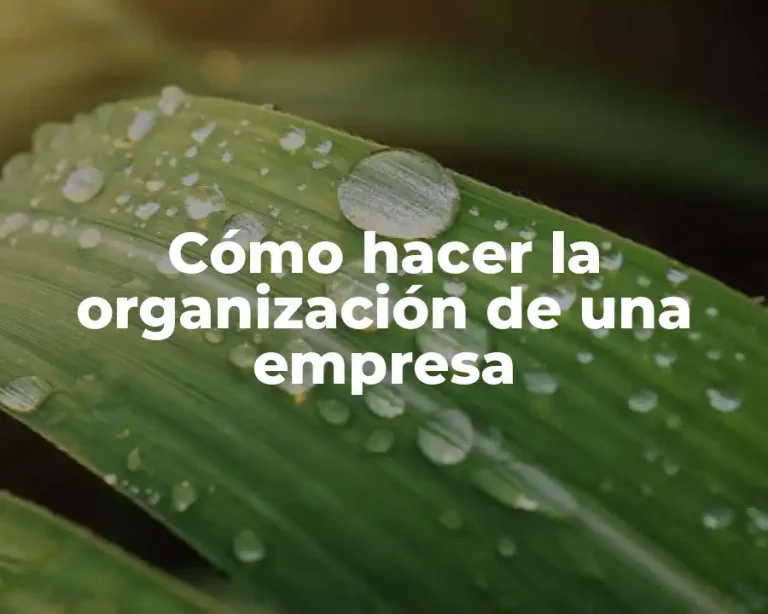 Cómo hacer la organización de una empresa