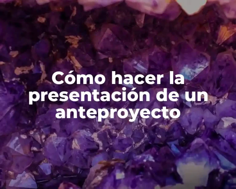 Cómo hacer la presentación de un anteproyecto
