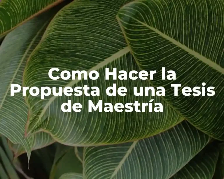 Como Hacer la Propuesta de una Tesis de Maestría