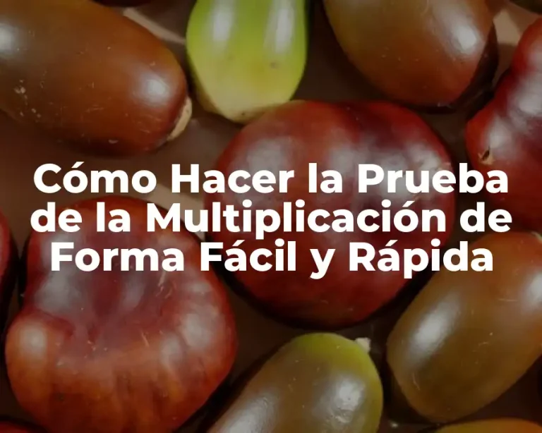 Cómo Hacer la Prueba de la Multiplicación de Forma Fácil y Rápida