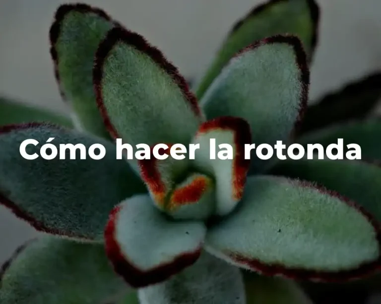 Cómo hacer la rotonda