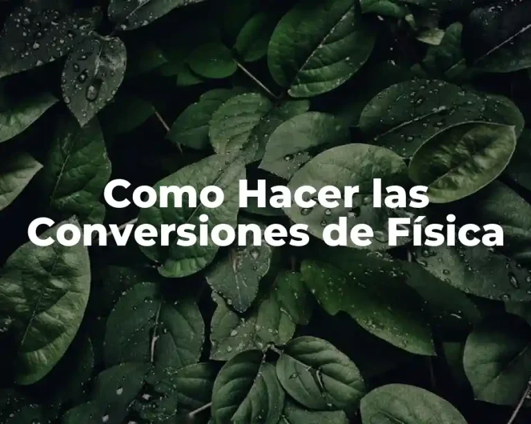 Como Hacer las Conversiones de Física