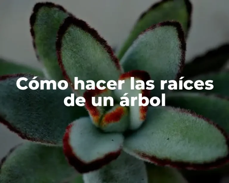 Cómo hacer las raíces de un árbol