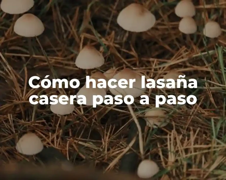 Cómo hacer lasaña casera paso a paso