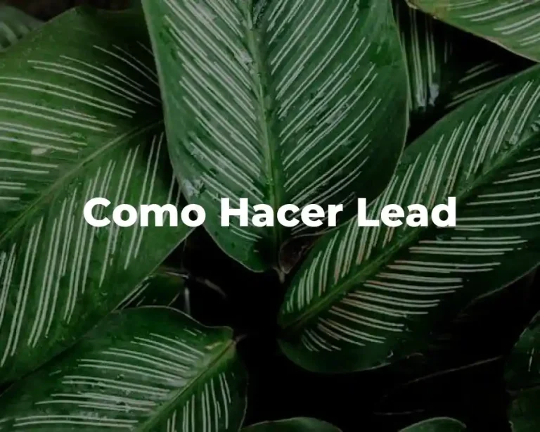 Como Hacer Lead