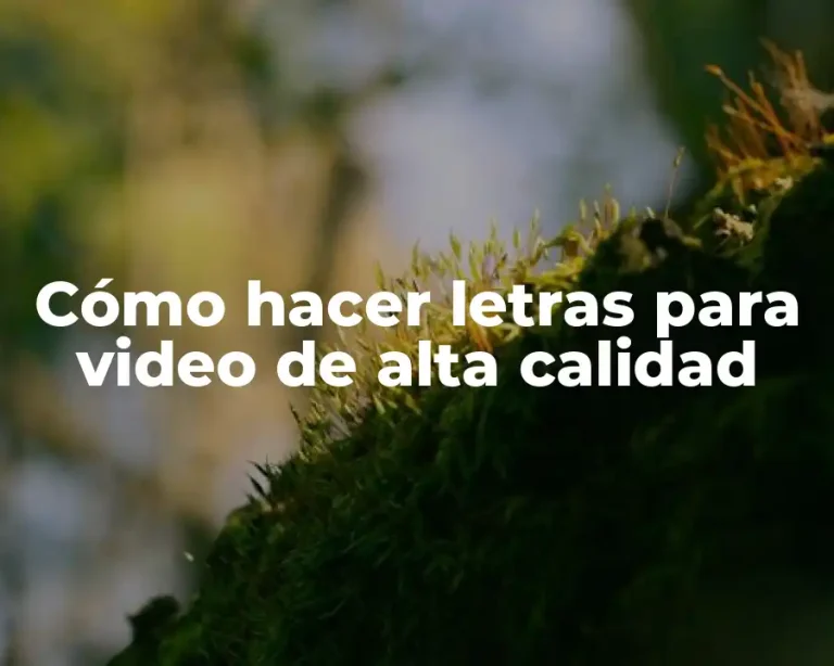 Cómo hacer letras para video de alta calidad